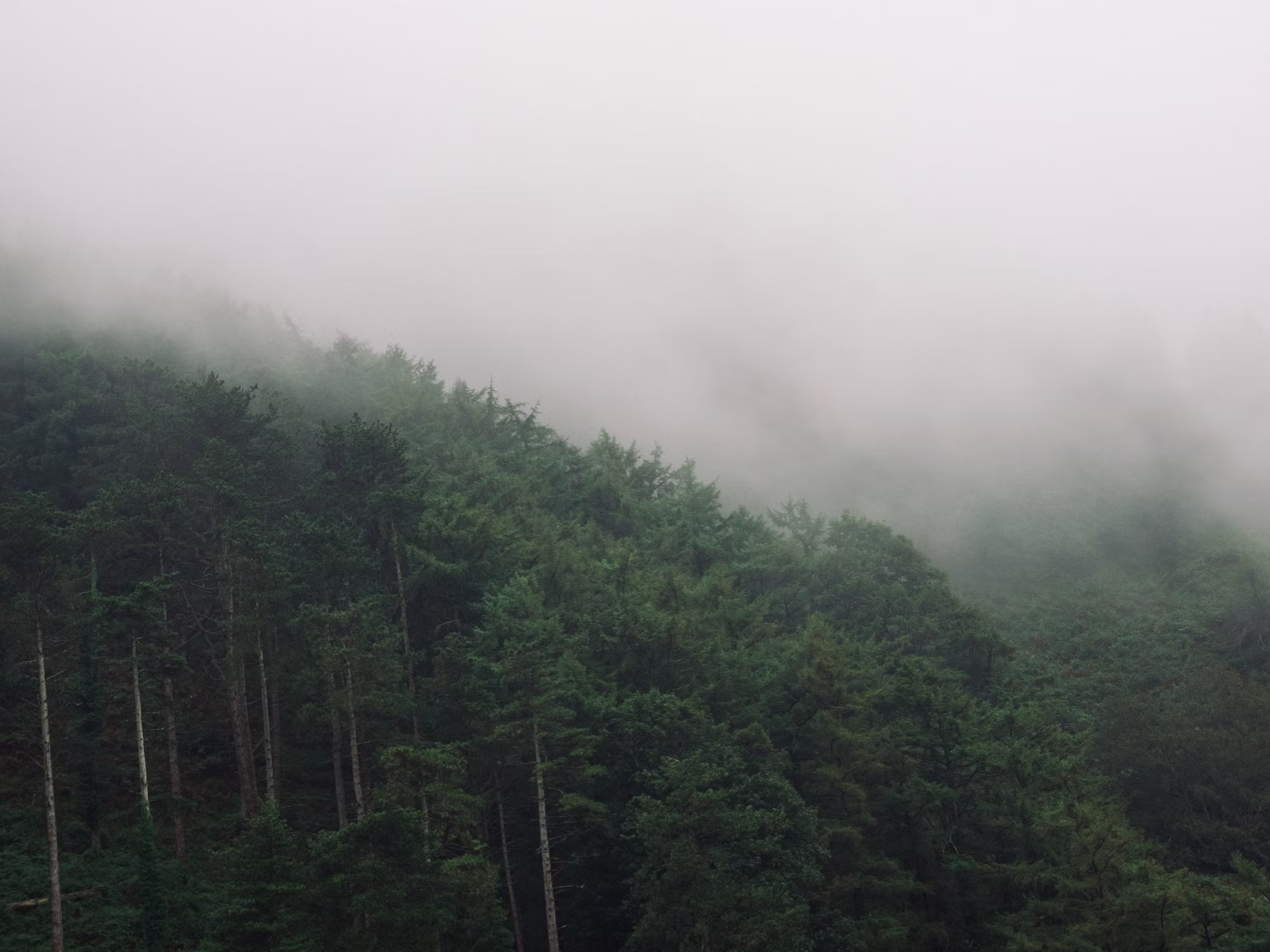 The Art of Travel: Crafting Unforgettable Experiences